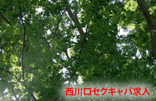 西川口セクキャバ求人サイト作成者の独り言画像